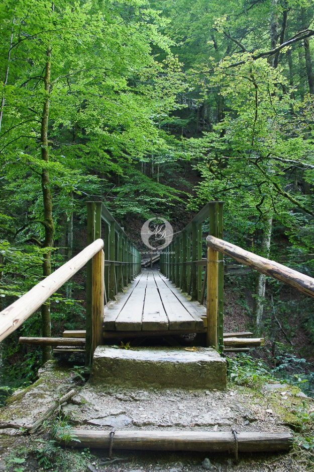 Die Brücke by MarkDeu