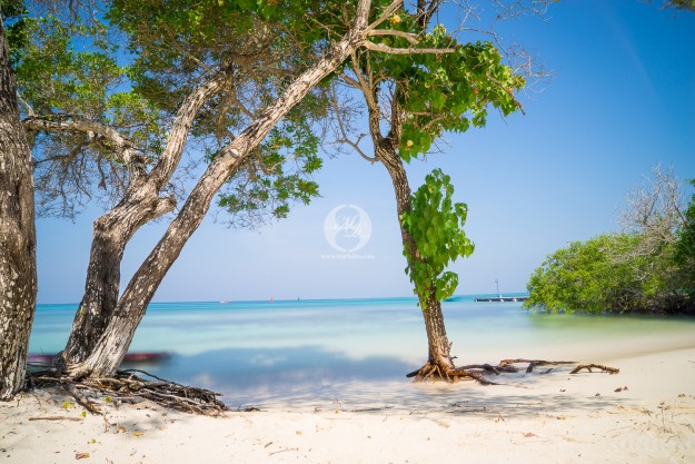 Dream Beach by MarkDeu