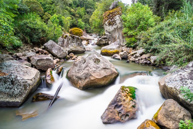 Into the wild Matcheta by MarkDeu