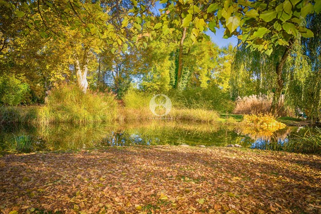 Innsbruck-Sehenswürdigkeiten-Hofgarten-by-markdeu