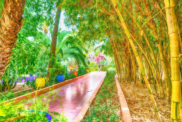 Jardin-Majorelle-Marrakesch-Sehenswürdigkeiten-Reisebericht-by-markdeu